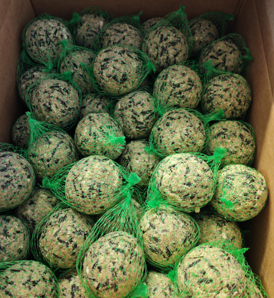100 Stk Meisenknödel klein GRÜN mit Netz Pick Up für Sommer und Winter geeignet sehr gute Qualität frisch Produziert
